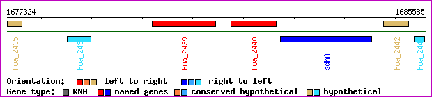 gene map