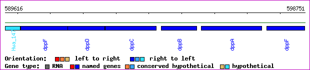 gene map