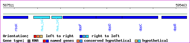 gene map