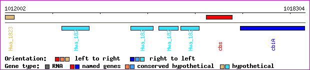 gene map