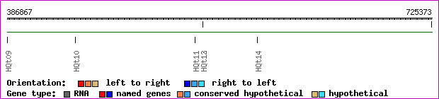 gene map