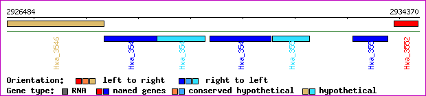 gene map