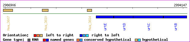 gene map