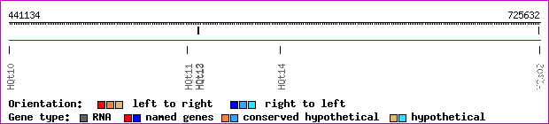 gene map