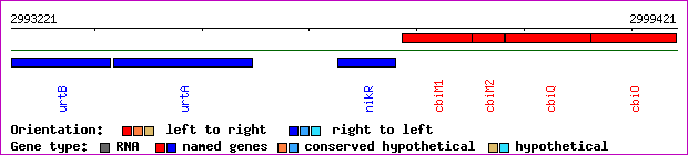 gene map