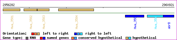 gene map