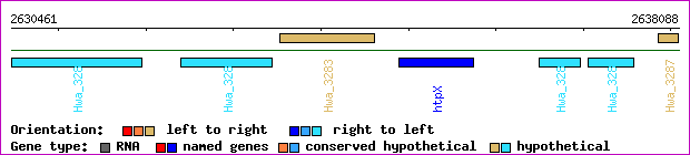 gene map