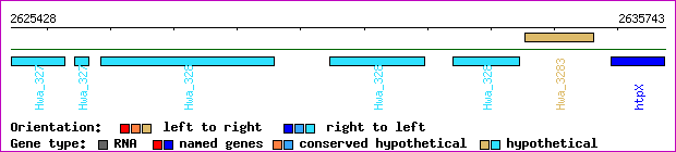 gene map