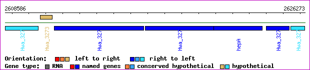 gene map