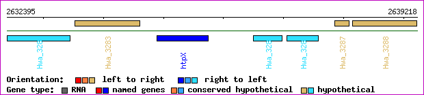 gene map