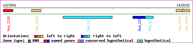 gene map