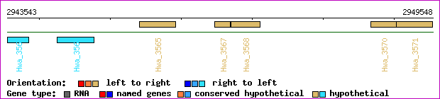 gene map