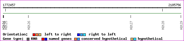 gene map