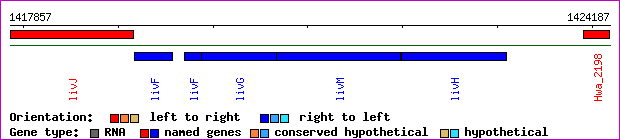 gene map