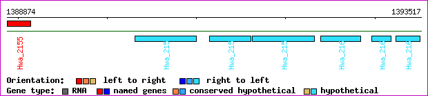 gene map