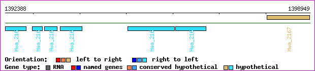 gene map