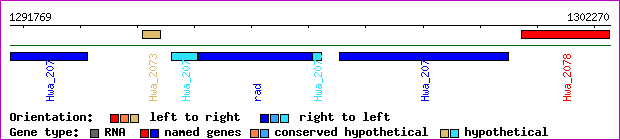 gene map