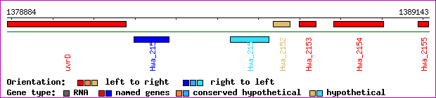 gene map