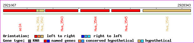 gene map