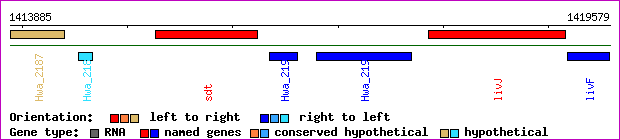 gene map