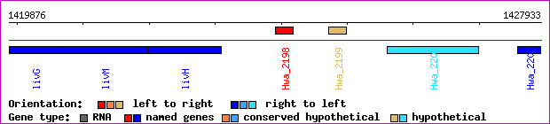 gene map