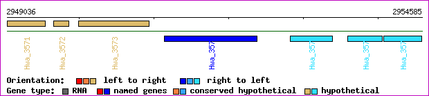 gene map
