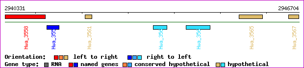gene map