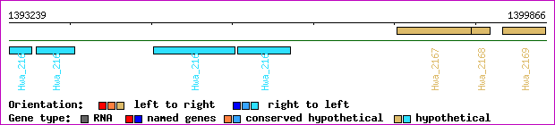 gene map