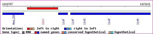 gene map
