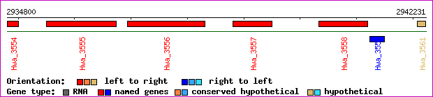 gene map