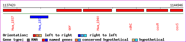 gene map