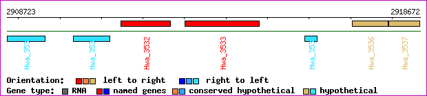 gene map