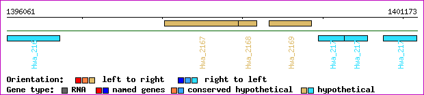 gene map