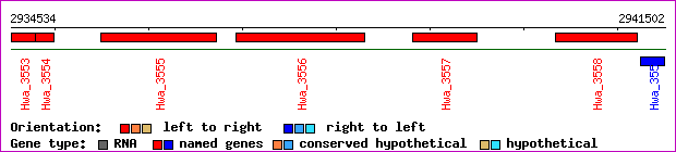 gene map