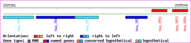 gene map