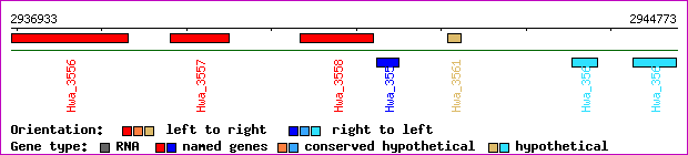 gene map