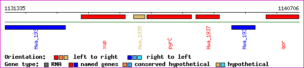 gene map