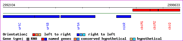 gene map