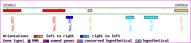 gene map