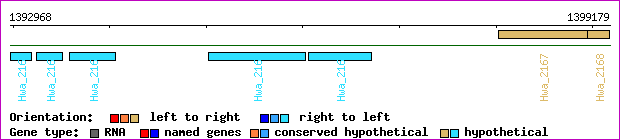 gene map