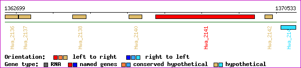 gene map