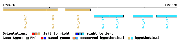 gene map