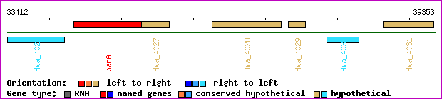 gene map