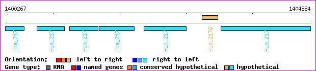 gene map