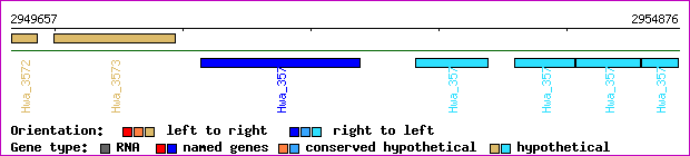 gene map