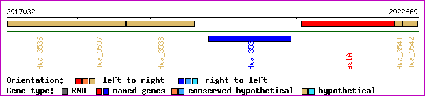 gene map