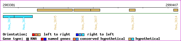 gene map
