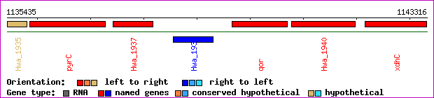 gene map