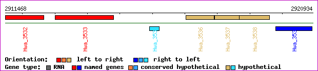 gene map