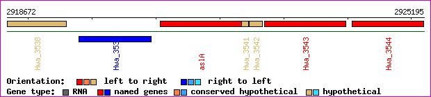 gene map